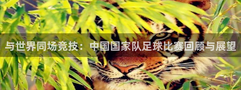 与世界同场竞技：中国国家队足球比赛回顾与