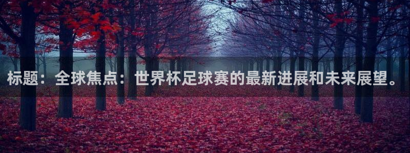标题：全球焦点：世界杯足球赛的最新进展和未来展望。