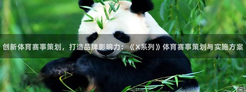 创新体育赛事策划，打造品牌影响力：《X系列》体育赛事策划与实施方案
