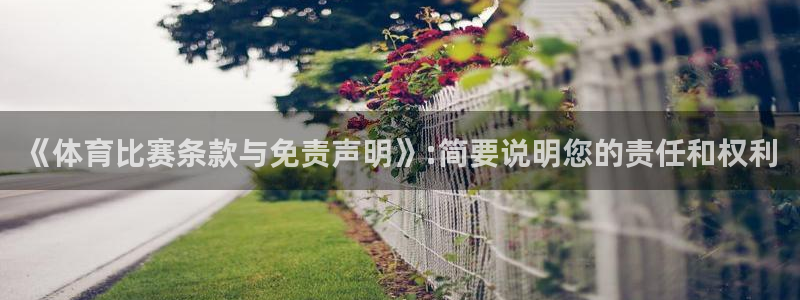 《体育比赛条款与免责声明》:简要说明您的责任和权利