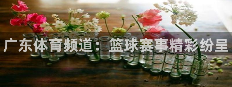广东体育频道：篮球赛事精彩纷呈