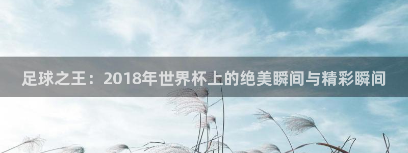 足球之王：2018年世界杯上的绝美瞬间与精彩瞬间