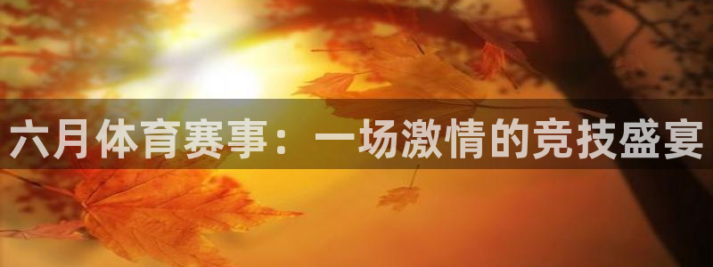 六月体育赛事：一场激情的竞技盛宴