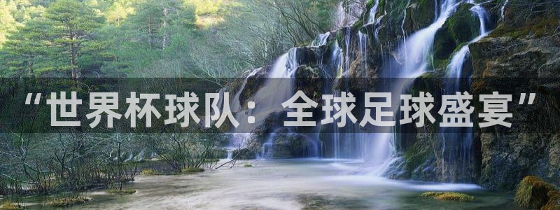 “世界杯球队：全球足球盛宴”