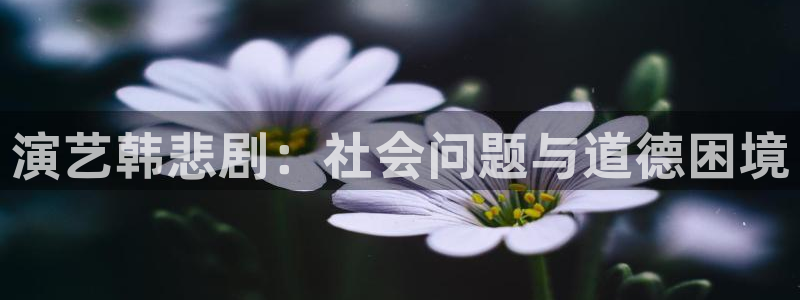 演艺韩悲剧：社会问题与道德困境