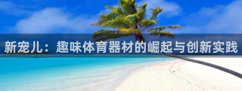 新宠儿：趣味体育器材的崛起与创新实践