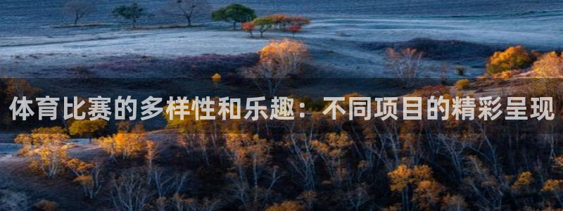 体育比赛的多样性和乐趣：不同项目的精彩呈现