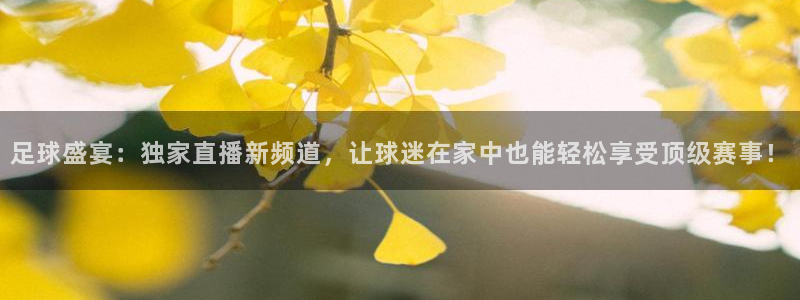 足球盛宴：独家直播新频道，让球迷在家中也能轻松享受顶级赛事！