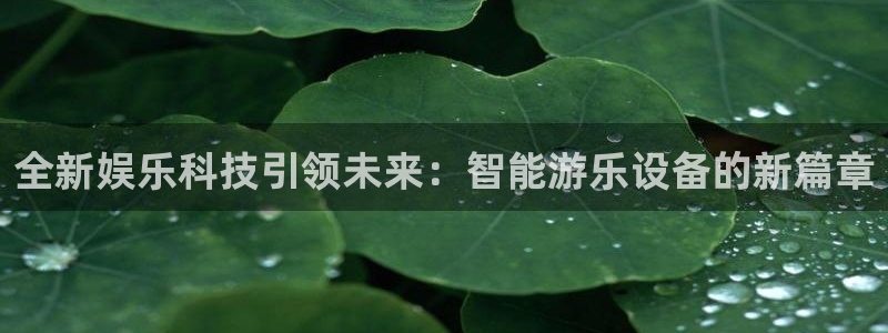全新娱乐科技引领未来：智能游乐设备的新篇